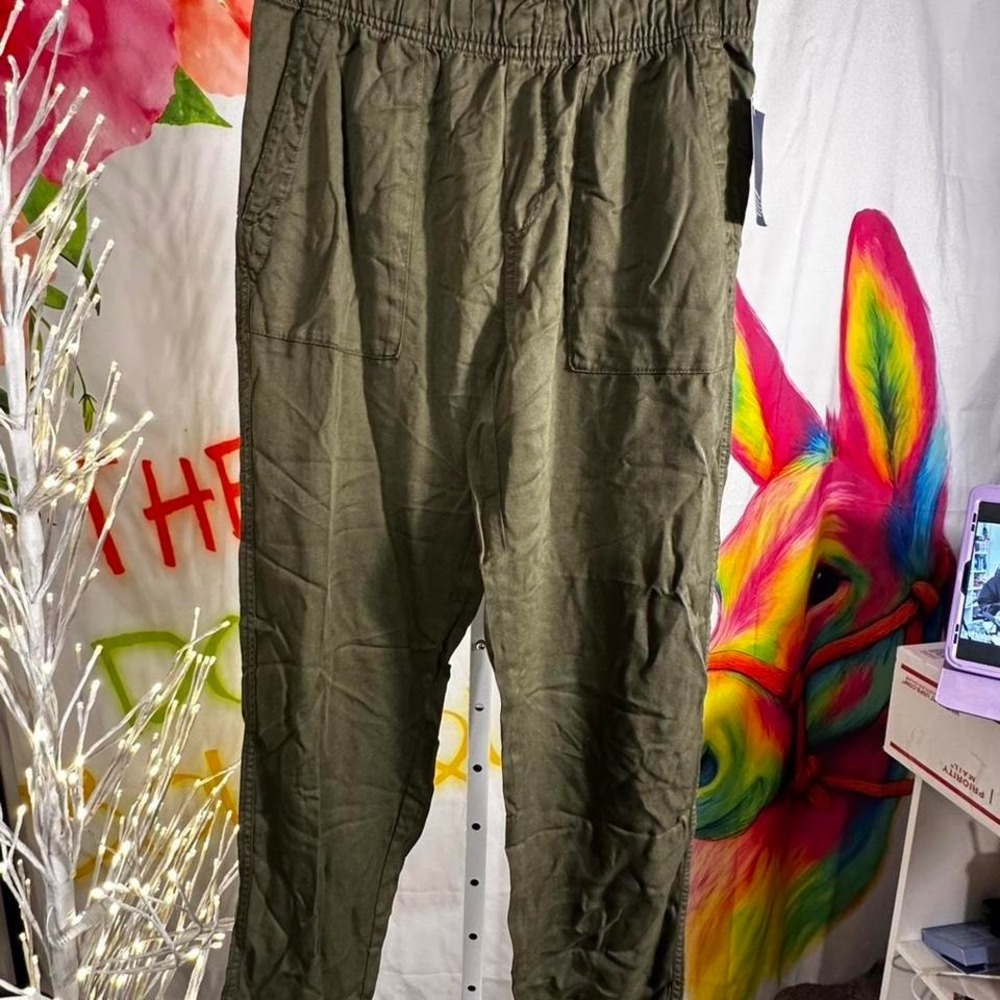 S234. Gap green cargo pants with adjustable wais